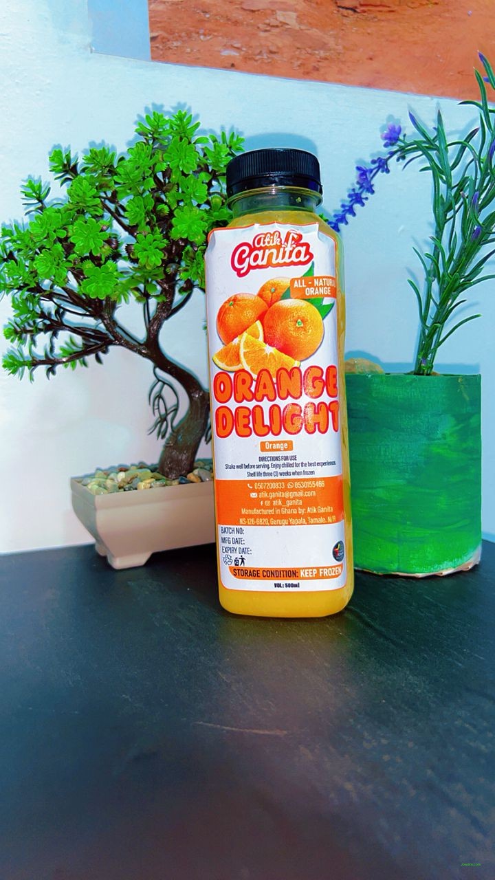Ganita Orange Delight – Refreshing Natural Orange Fruit Juice