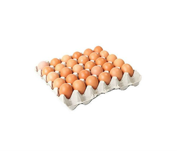 Safia Basini Fresh Farm Eggs